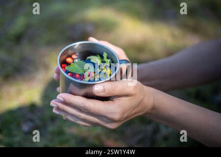 Mains de femme tenant une tasse touristique avec du thé chaud aux baies au milieu des brindilles dans la forêt, au-dessus de la vue Banque D'Images