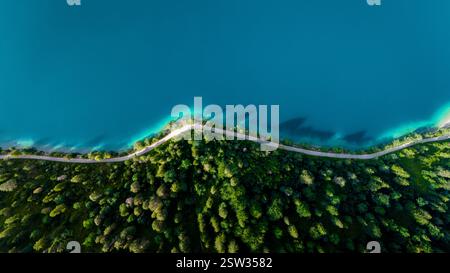 Vue aérienne du paysage verdoyant luxuriant et des eaux vibrantes de Plansee en Autriche Banque D'Images