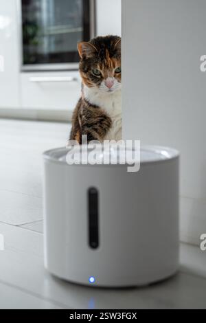 Le chat curieux regarde la fontaine à boire intelligente que les propriétaires lui ont acheté pour prévenir les maladies des voies urinaires Banque D'Images