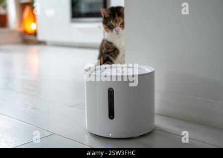 Le chat curieux regarde la fontaine à boire intelligente que les propriétaires lui ont acheté pour prévenir les maladies des voies urinaires Banque D'Images