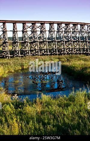Pont enjambe une rivière avec un étang de l'autre côté. Le pont est vieux et en bois, et l'eau est calme Banque D'Images