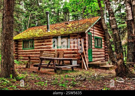 Cabane en rondins avec un toit vert se trouve dans une forêt. La cabine dispose d'un banc et d'une table à l'extérieur Banque D'Images