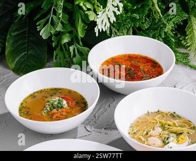 Variété de soupes maison copieuses et plat de viande sur la table Banque D'Images