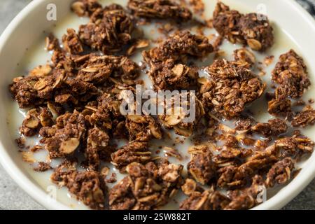 Granola au chocolat sain maison céréales pour petit déjeuner prêtes à manger Banque D'Images