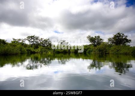 La splendide eau du cratère Azul près de Flores, Guatemala Banque D'Images