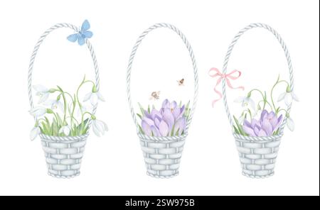 Paniers avec fleurs de printemps. Ensemble d'illustration d'aquarelle dessinée à la main avec des gouttes de neige, des crocs, des papillons, des abeilles. Eléments de conception pour cartes de vœux Banque D'Images