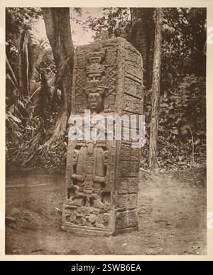 Stèle A. Quirigua, un site archéologique maya au Guatemala. Photographie d'archive d'Alfred Percival Maudslay de l'étude du site archéologique de Quirigua dans les années 1880 environ Banque D'Images