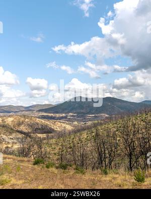 Village Kirki Evros Grèce se remettant après un incendie de forêt massif, restauration des forêts et des montagnes, catastrophe environnementale, mont Parnitha, Rodopi, Evia, Banque D'Images