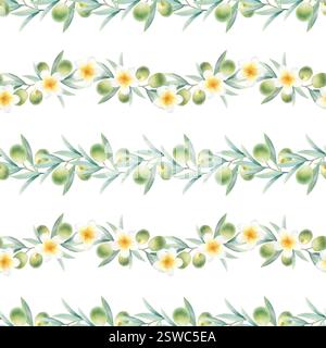 Branches d'olivier avec des feuilles, des fruits et des fleurs de plumeria modèle sans couture. Illustration isolée d'aquarelle botanique dessinée à la main avec des olives vertes et des frangipani pour l'emballage, le textile, le scrapbooking. Banque D'Images