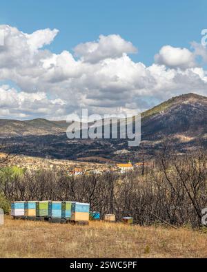 Village Kirki Evros Grèce se remettant après un incendie de forêt massif, restauration des forêts et des montagnes, catastrophe environnementale, mont Parnitha, Rodopi, Evia, Banque D'Images