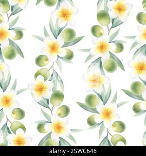 Branches d'olivier avec des feuilles, des fruits et des fleurs de plumeria modèle sans couture. Illustration isolée d'aquarelle botanique dessinée à la main avec des olives vertes et des frangipani pour l'emballage, les tissus, le scrapbooking. Banque D'Images