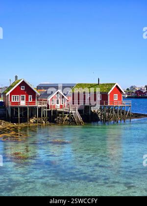 Maisons à toit rouge sur pilotis en Norvège, Reine, Lofoten, Norvège Banque D'Images