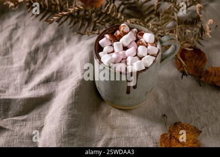 Chocolat chaud épicé maison Banque D'Images