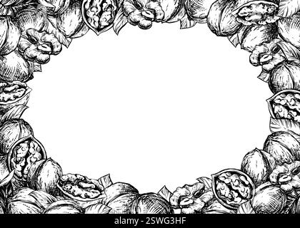 Cadre horizontal rectangulaire en noix avec espace pour le texte. Croquis vectoriel de pâte de noix, liqueur, huile. Noix entières et décortiquées, feuilles sur fond blanc. Dessin linéaire à l'encre. Illustration de Vecteur