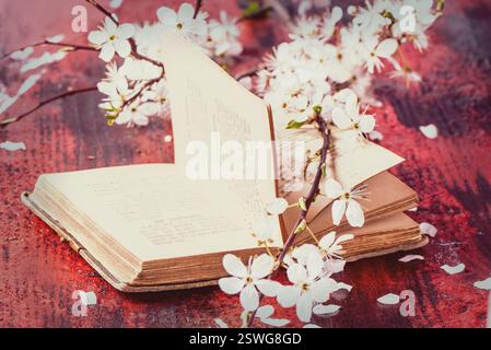 Bible vintage avec branche de fleur Banque D'Images