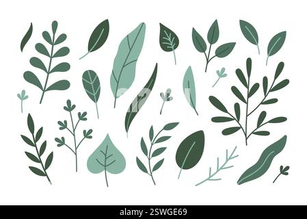 Herbes fraîches. Jolies herbes dessinées à la main, feuilles, branches. Autocollants de dessin animé vectoriel isolés sur fond blanc. Collection d'herbes. Herbes printanières, feuilles. Illustration de Vecteur