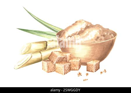 Cubes de sucre brun et empiler dans un bol en bois. Tiges de canne à sucre avec feuilles. Illustration d'aquarelle dessinée à la main isolée. Composition de l'ingrédient pour rhum Banque D'Images