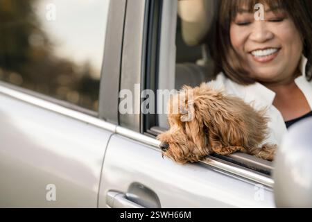 Femme souriant au chien regardant par la fenêtre de la voiture Banque D'Images