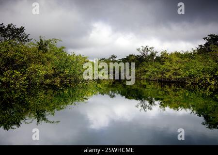La splendide eau du cratère Azul près de Flores, Guatemala Banque D'Images
