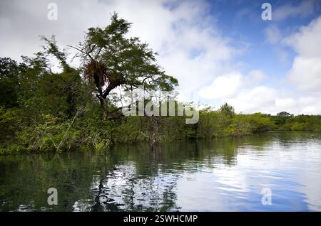 La splendide eau du cratère Azul près de Flores, Guatemala Banque D'Images