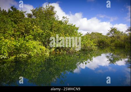 La splendide eau du cratère Azul près de Flores, Guatemala Banque D'Images