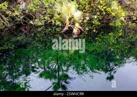 La splendide eau du cratère Azul près de Flores, Guatemala Banque D'Images