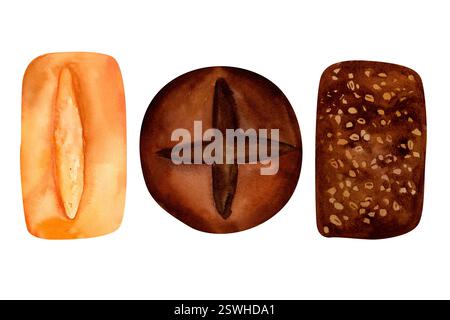 Ciabatta, pain de seigle au levain rond et pain multigrain capturé dans un ensemble d'aquarelles. Idéal pour évoquer une ambiance de boulangerie fraîche et rustique, parfait f Banque D'Images