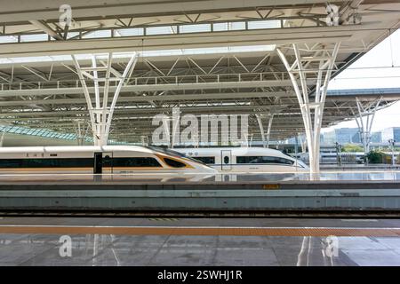 Shanghai, Chine, vue grand angle,, intérieur, moderne haute vitesse, trains à grande vitesse, sur plate-forme, gare, côté, voies, chine innovation Chine moderne Banque D'Images