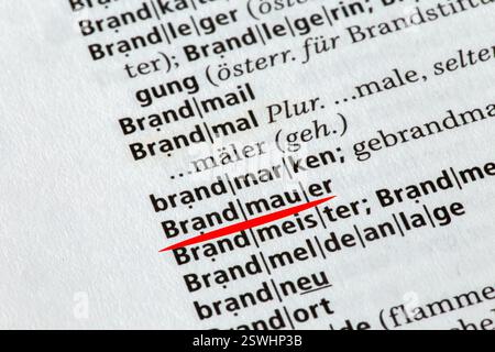 Mur de feu : gros plan du terme BRANDMAUER du dictionnaire Duden Banque D'Images