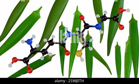 Un rendu 3D de gros plan, représentation stylisée des gousses de gombo et de la molécule de glutathion Banque D'Images