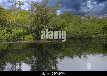 La splendide eau du cratère Azul près de Flores, Guatemala Banque D'Images