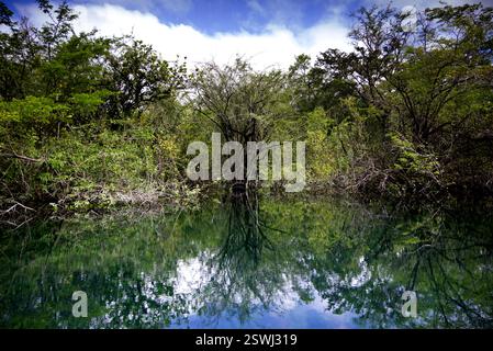 La splendide eau du cratère Azul près de Flores, Guatemala Banque D'Images