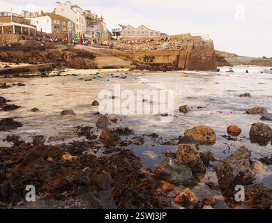 Vacanciers debout et assis sur New Pier St Ives, Cornouailles, Angleterre Royaume-Uni, regardant vers la mer et les bains de soleil avec planches de surf en vente Banque D'Images