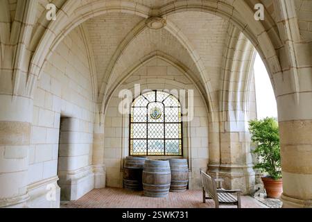 La Galerie d'Aumale à l'intérieur du Château d'Amboise dans la vallée de la Loire, France Banque D'Images