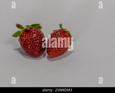 L'image montre deux fraises fraîches placées sur un fond blanc. Les fraises sont rouges avec de petites graines visibles à leur surface. Banque D'Images