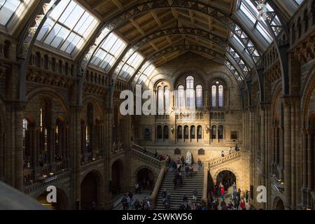 Les visiteurs explorent la grande salle du Natural History Museum, Londres, Royaume-Uni, avec son architecture ornée et ses vitraux. Banque D'Images