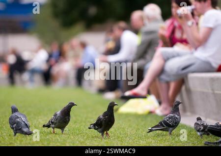 Parc des champs potiers Banque D'Images