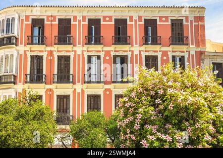 Malaga, ville balnéaire en Andalousie, Espagne, Europe. Un bâtiment de couleur pêche avec balcons et détails ornés, partiellement obscurci par des arbres verdoyants a Banque D'Images