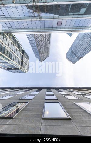 Levez les yeux le matin au milieu de la skyline. Blocs de tours et façades en verre modernes au lever du soleil. Belle vue d'ensemble des gratte-ciels et de leur surro Banque D'Images