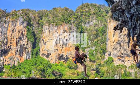 Krabi Thaïlande 31 janvier 2025, les aventuriers escaladent les superbes falaises de Railay Beach, entourées d'imposants rochers calcaires et d'une végétation luxuriante. les gens grimpent sur la plage Banque D'Images
