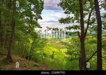 Vue idyllique sur la forêt révélant une vallée luxuriante avec un petit village en contrebas. Banque D'Images