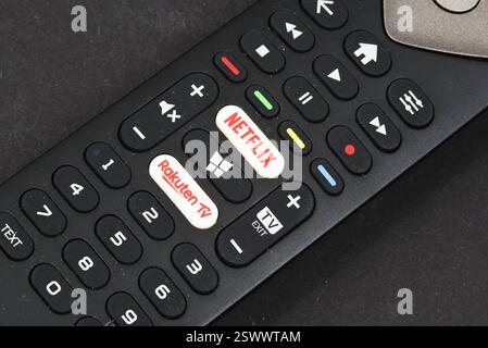 Den Helder, pays-Bas. Gros plan d'une télécommande avec accès direct à Netflix. Photo de haute qualité Banque D'Images