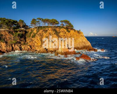 Vue aérienne de Punta de Canyers devant Cala Canyers, Costa Brava (Baix Empordà, Gérone, Catalogne, Espagne) ESP : Vista aérea de la Punta Canyers Banque D'Images
