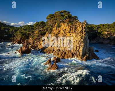 Vue aérienne de Punta de Canyers devant Cala Canyers, Costa Brava (Baix Empordà, Gérone, Catalogne, Espagne) ESP : Vista aérea de la Punta Canyers Banque D'Images