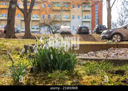 250222VorfrühlingZwönitz nouvelles ID : en 2025-02-22 Nach Strengem Frost im Erzgebirge vor wenigen Tagen : Sonnenstrahlen und milde Temperaturen machen Lust auf Frühling Zwönitz. Noch vor einigen Tagen herrschte im Erzgebirge, Dauerfrost. VOR allem nachts Sank das Thermometer im Erzgebirge bis auf unter MINUS 15 Grad ab. Ein anderes Bild zeigte sich am heutigen Samstag. Zweistellige Plusgrade von 11 Grad und Sonnenschein machen an diesem Wochenende, Lust auf den Frühling. Nach den eisigen Tagen wurde es Zeit nutzten viele das milde Wetter aus, um ihren Wagen zu waschen. EIS, Schnee und Streusalz SOR Banque D'Images