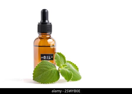 Bouteille d'huile essentielle de menthe avec des feuilles vertes isolées sur fond blanc Banque D'Images