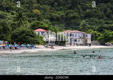 Beach Cane Garden Bay, Tortola, Îles Vierges britanniques Banque D'Images