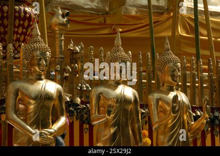 Gros plan des statues de Bouddha doré au temple Doi Suthep à Chiang mai, Thaïlande, reflétant la spiritualité bouddhiste et l'artisanat complexe Banque D'Images