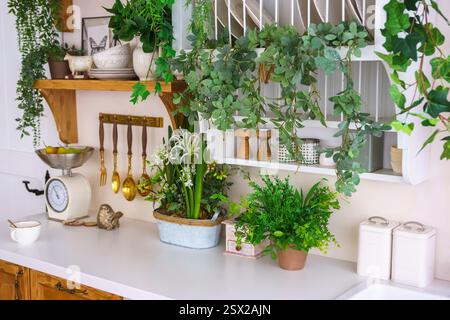 Coin cuisine élégant avec des plantes, des ustensiles et des balances vintage pour une atmosphère printanière confortable. Plantes décoratives vertes, décoration à la maison pour Pâques holid Banque D'Images