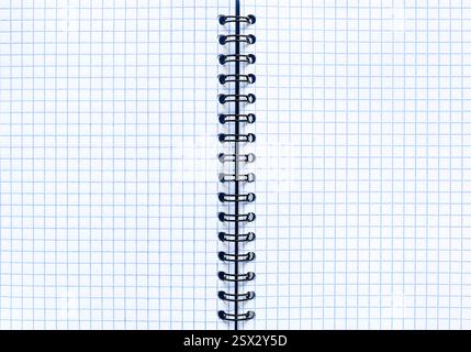 Fond blanc et bleu de papier quadrillé de carnet vierge. Feuille carrée ouverte pour cahier Banque D'Images